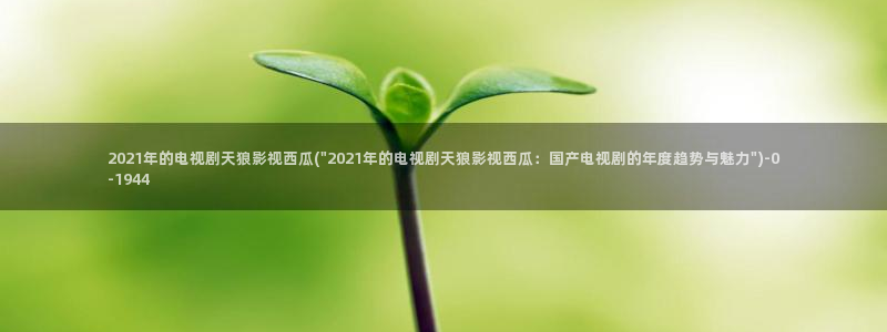 西瓜影院网在线观看免费