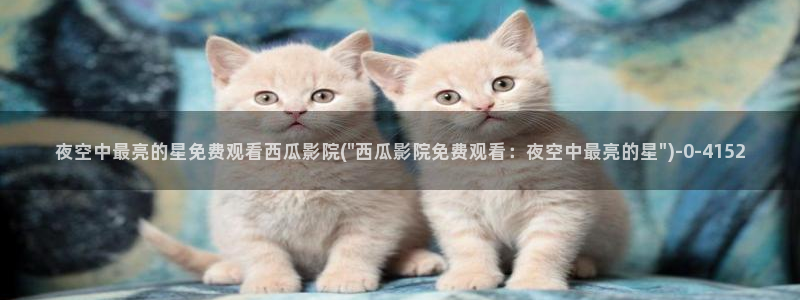 西瓜电影如何下载